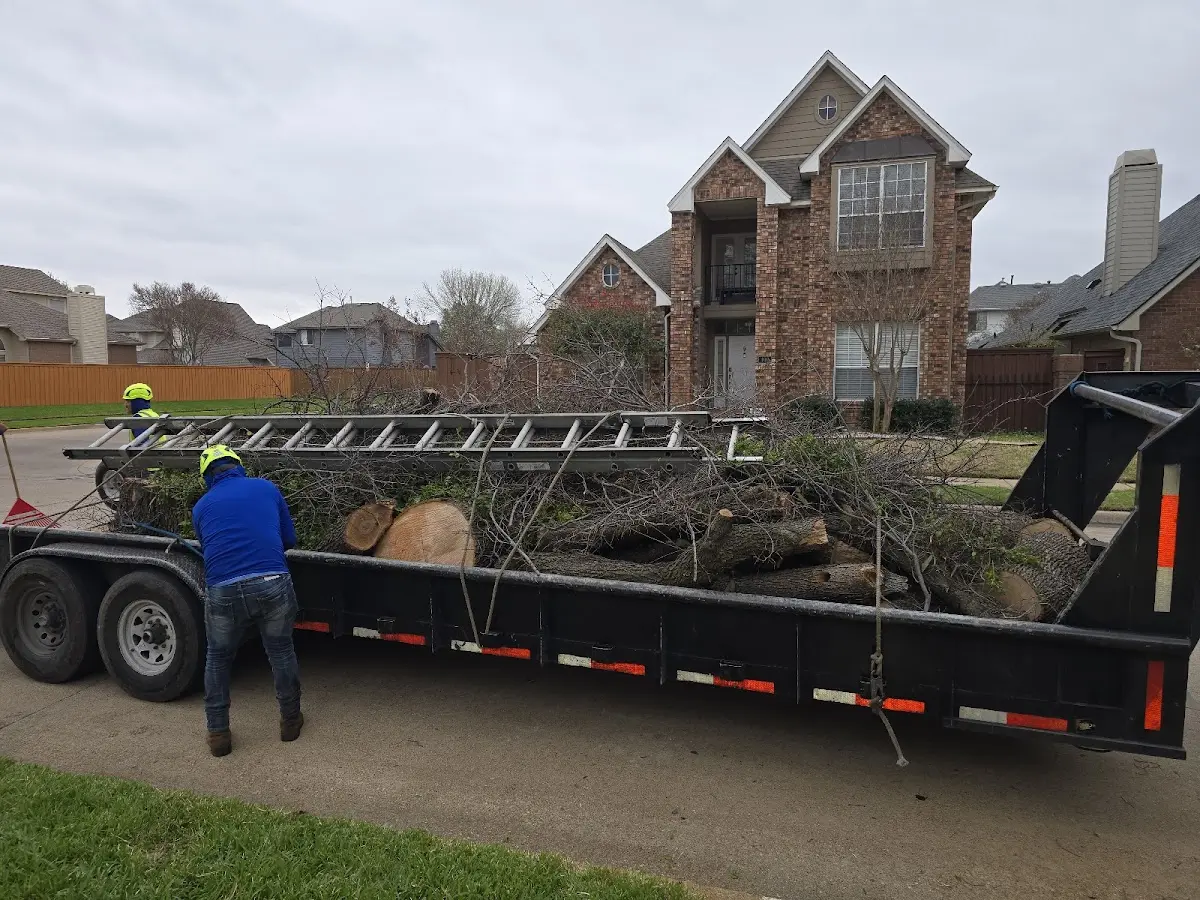 Expert Lot Clearing with proper safety equipment in Colts Neck